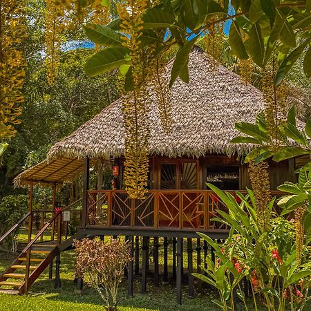 Corto Maltes Amazonia Lodge Puerto Maldonado Ngoại thất bức ảnh