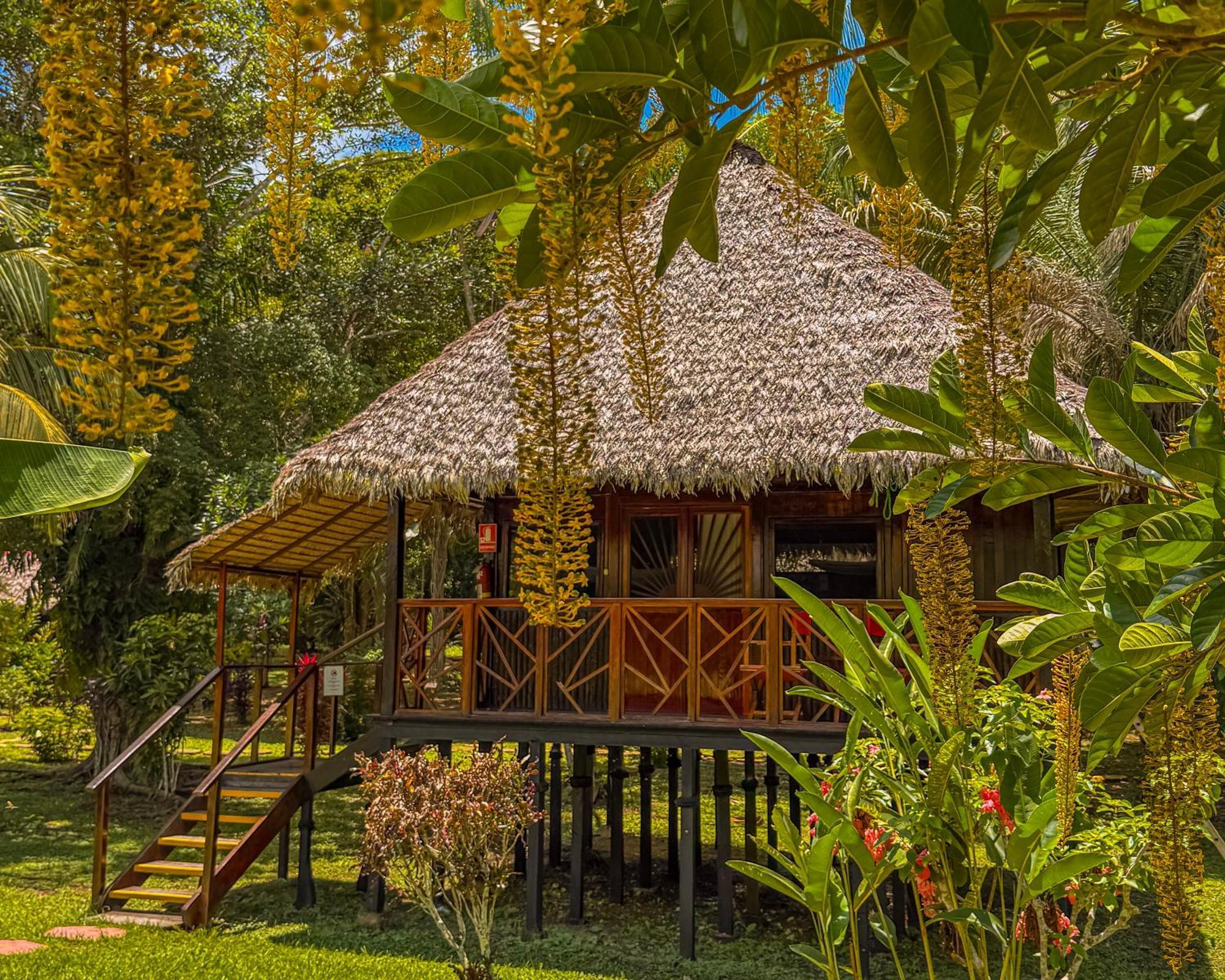 Corto Maltes Amazonia Lodge Puerto Maldonado Ngoại thất bức ảnh