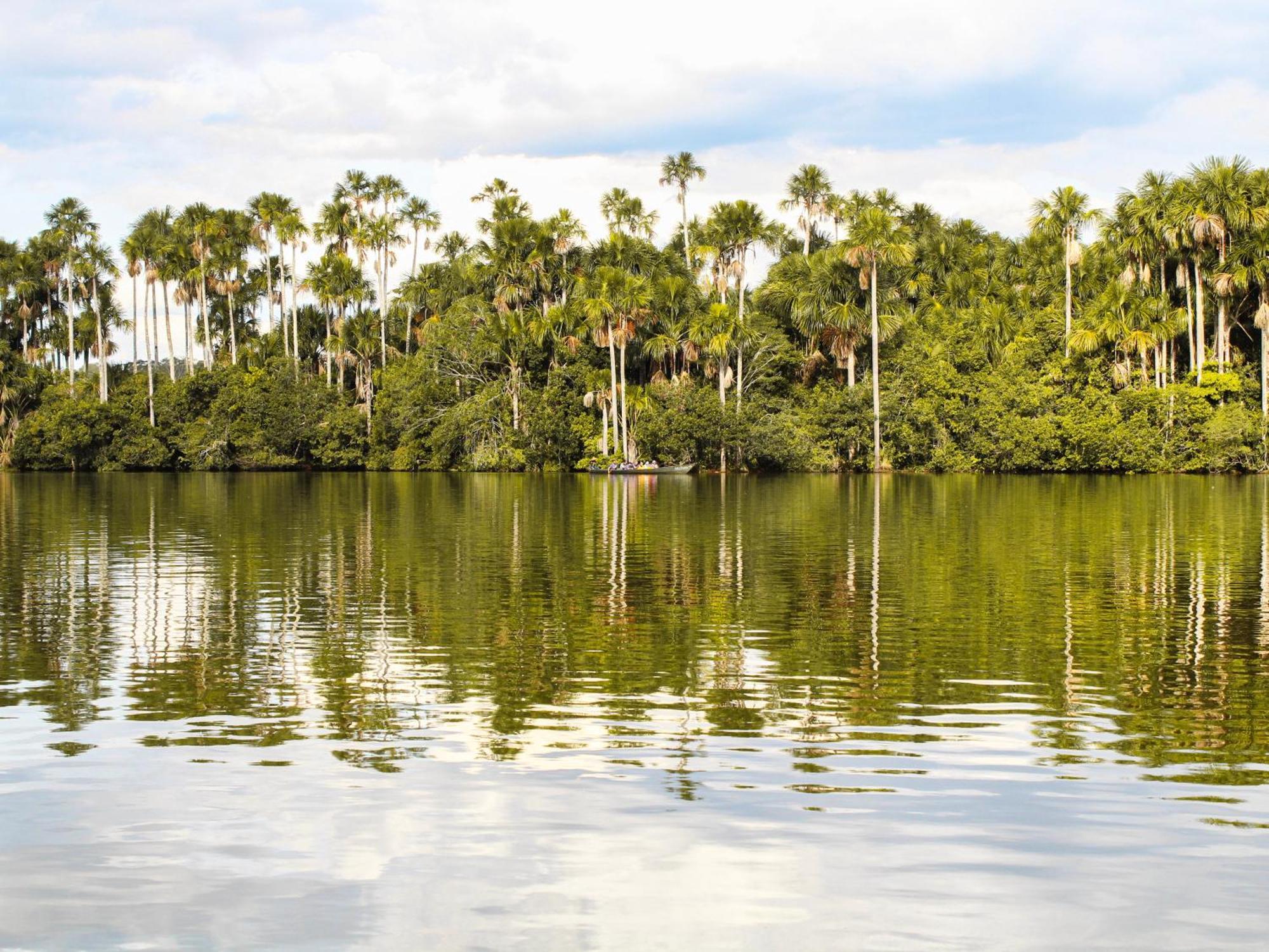 Corto Maltes Amazonia Lodge Puerto Maldonado Ngoại thất bức ảnh