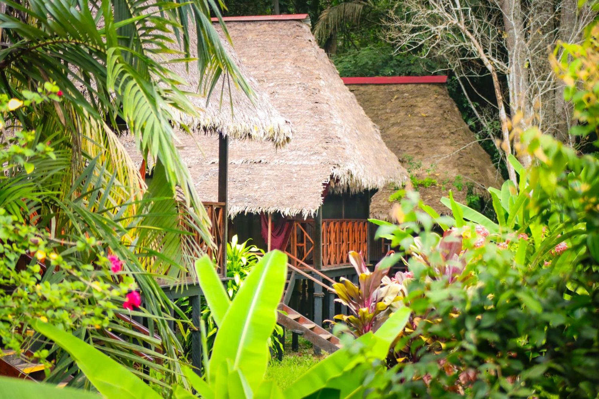 Corto Maltes Amazonia Lodge Puerto Maldonado Ngoại thất bức ảnh