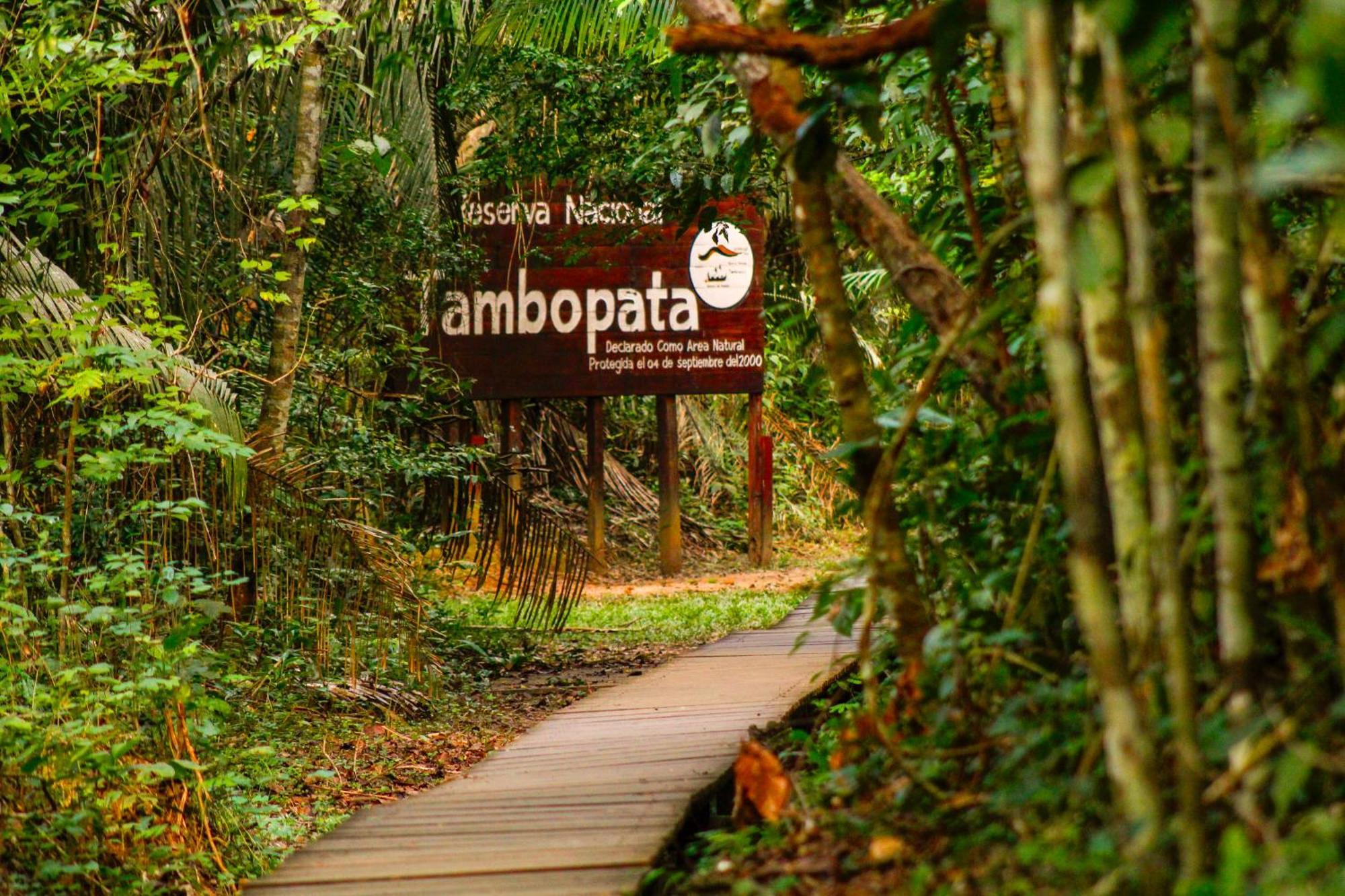 Corto Maltes Amazonia Lodge Puerto Maldonado Ngoại thất bức ảnh